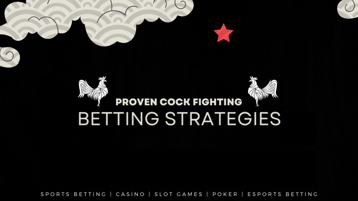 otsobet-cockfight-betting-strategies-cover-otsobet1