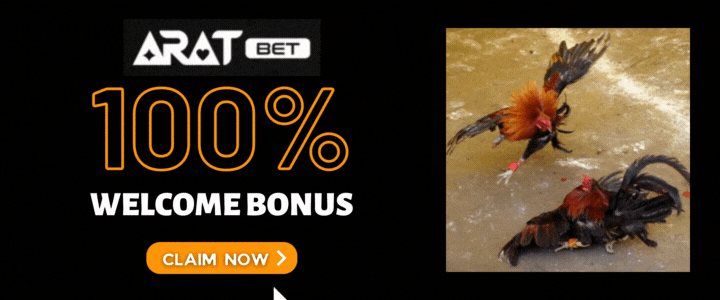 Aratbet 100 Deposit Bonus - Excellent online cock betting